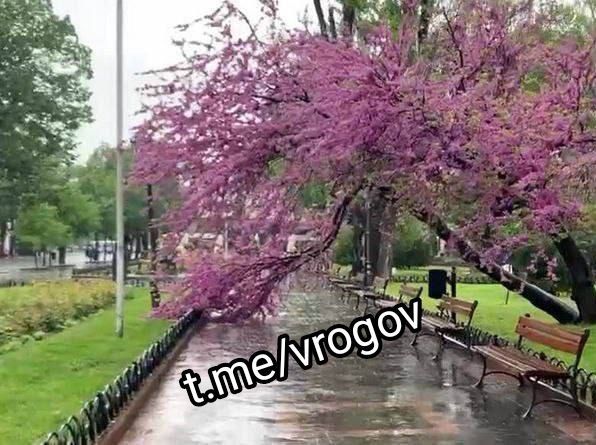 �������� �����: ������ ���� ��� ���������� � ����������