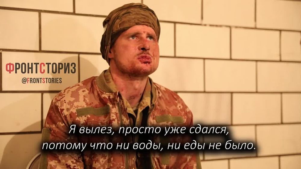 ����� �����: ����� ���� ����� ��� ������