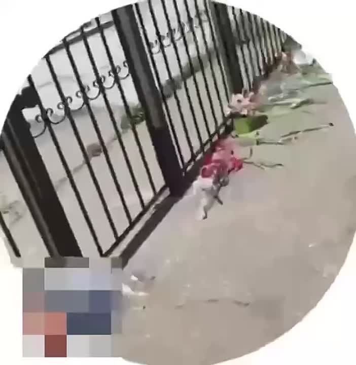 ����� ��������: ��������, ����� ����, �� �� ��� ����