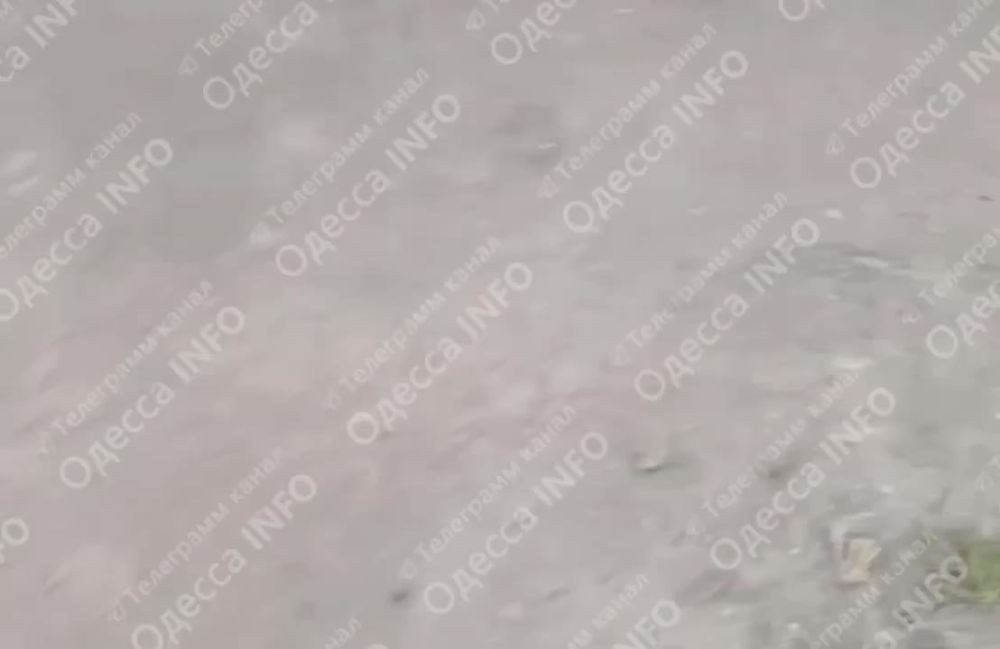 ���� ��������: ����� � ������ ������ (��������) ���� ������ ���� � ������, �������� ������� �������