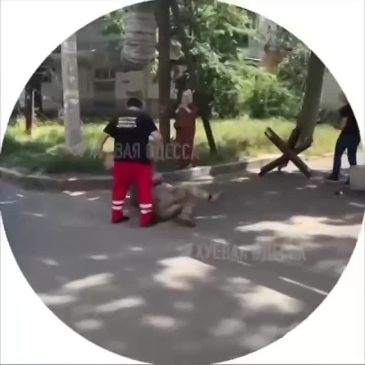 ���� ��������: �������� �������. ���� ���