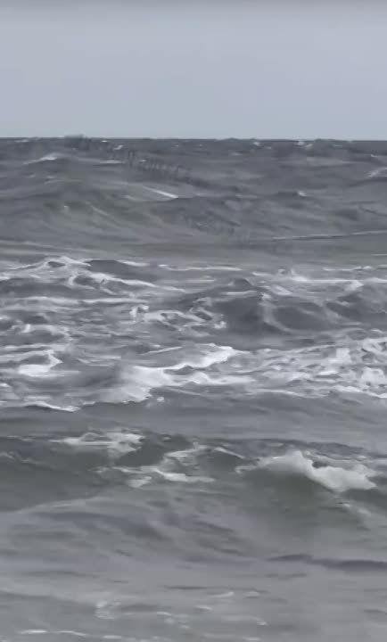 ���� ����: ������. ������� �������. ���� ���� �����. ������ ������. �� ������ ������ ����� ������� ������ � ������ �� ����� ����������. ����� ����� �������