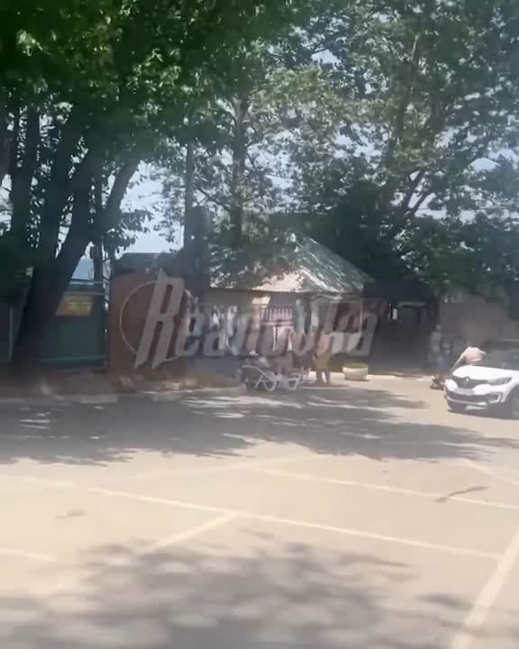 ���� ��������: ����. �����������. ����. �����������