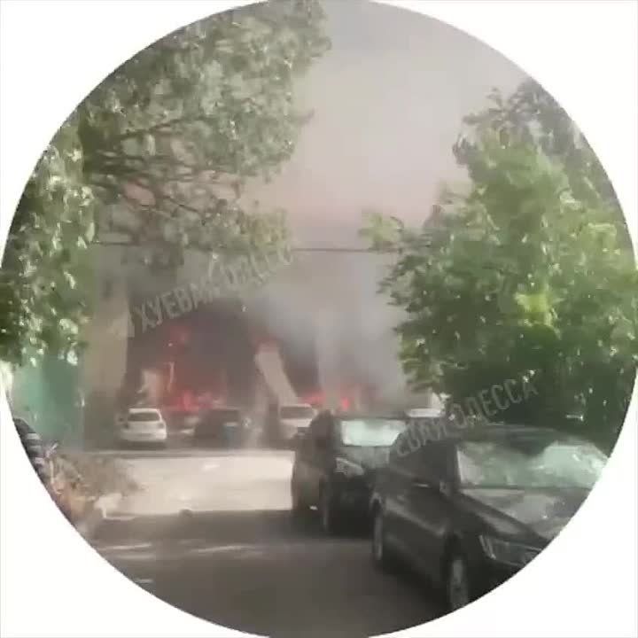 ���� ��������: ����������� ��������� ������������� �������, ������������������� ������� ����� � ������