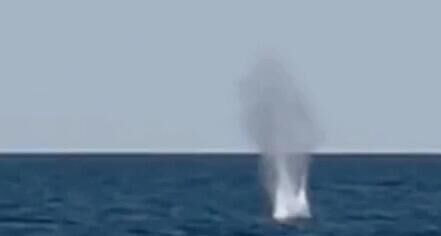 "������": � ������ �������� �� ����� ���������� ����