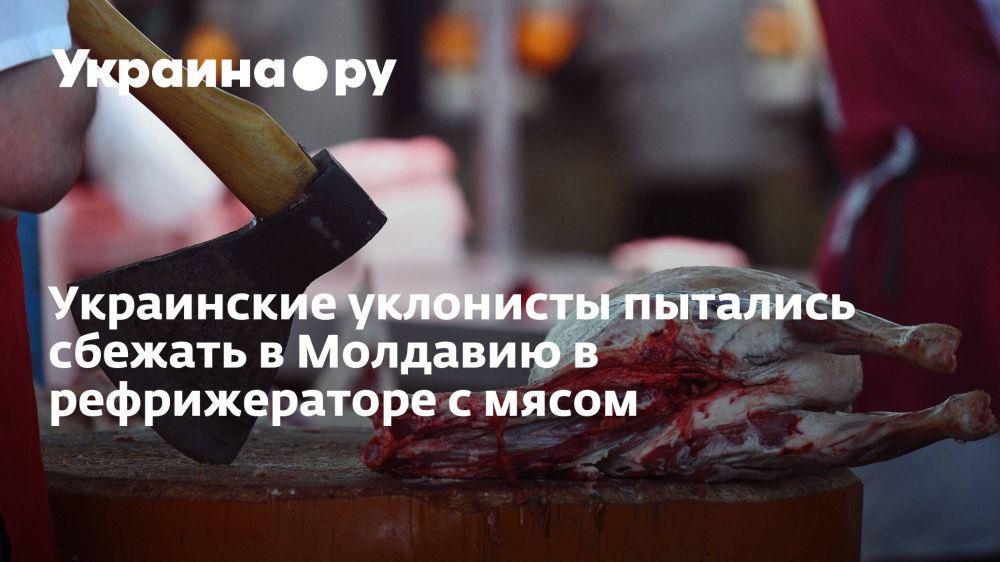 Украинские уклонисты пытались сбежать в Молдавию в рефрижераторе с мясом