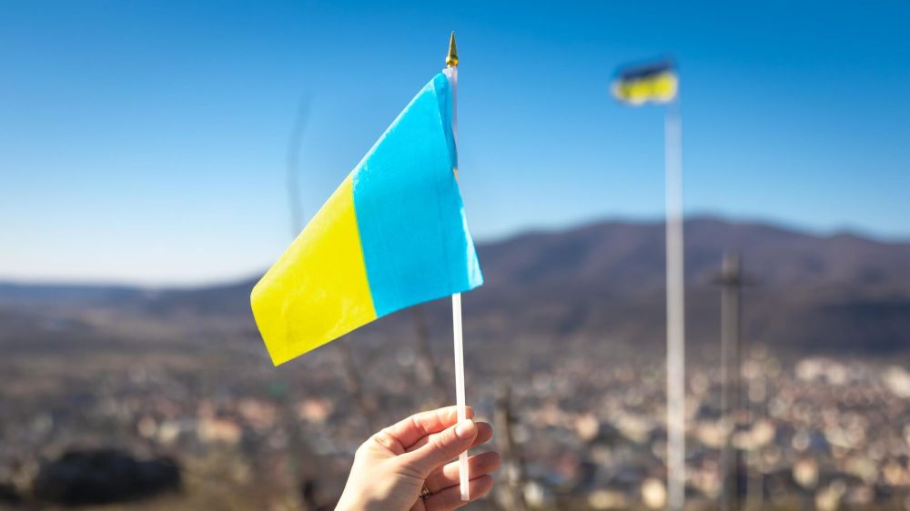 Почти полсотни украинских уклонистов пытались сбежать в Приднестровье под видом сена