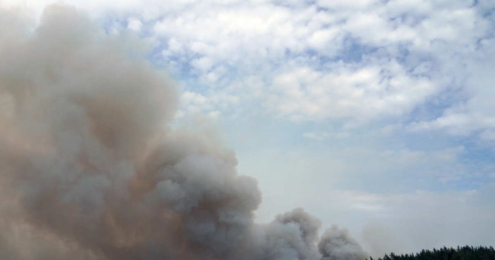 ����� ������ �������� ���� �������� ��� � ������