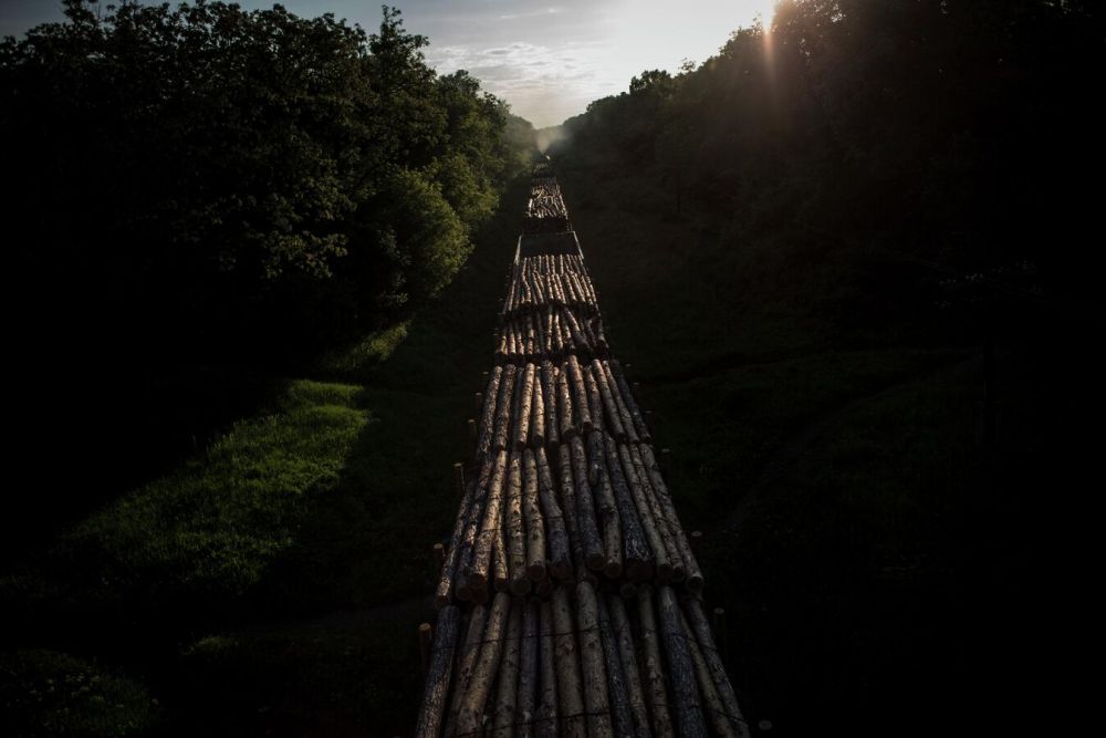 ���-������� ������� ��������� � ������� ���� �� ������ ������