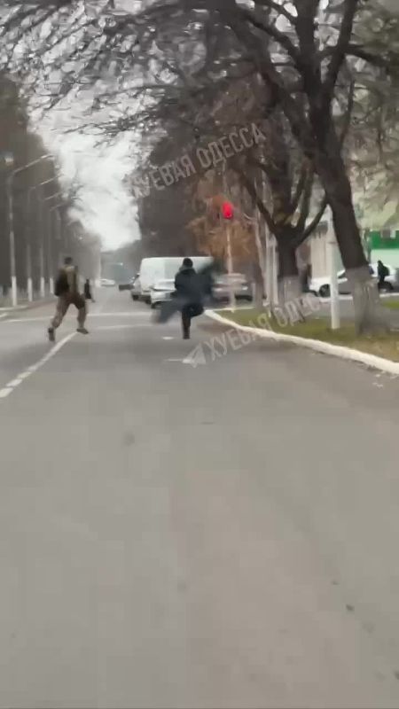   :        ,    ,   ,    