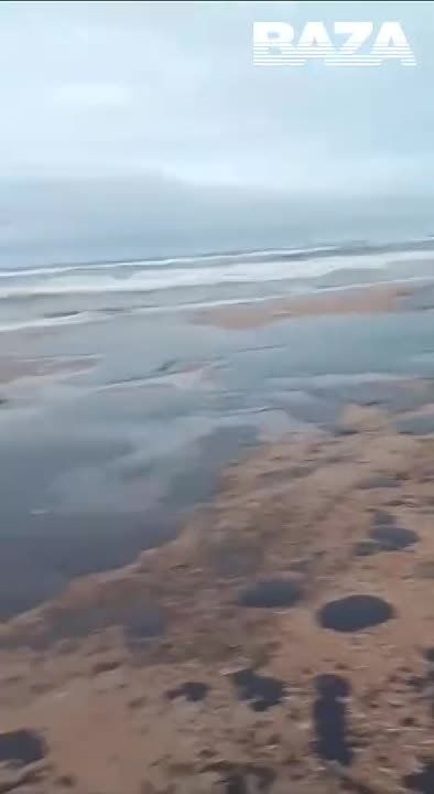 ������������� ����������: ����� �� � �������� ����� ������ ������ �����