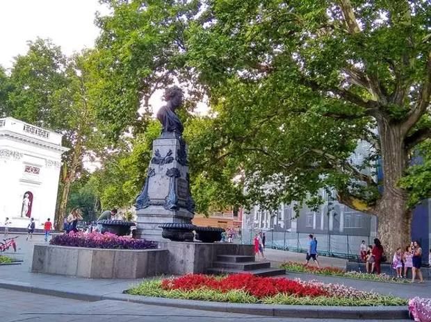 Армен Гаспарян: Такого еще не было. 200-летний Пушкинский платан Одесское гауляйтерство решило декоммунизировать и переименовать в Западный платан