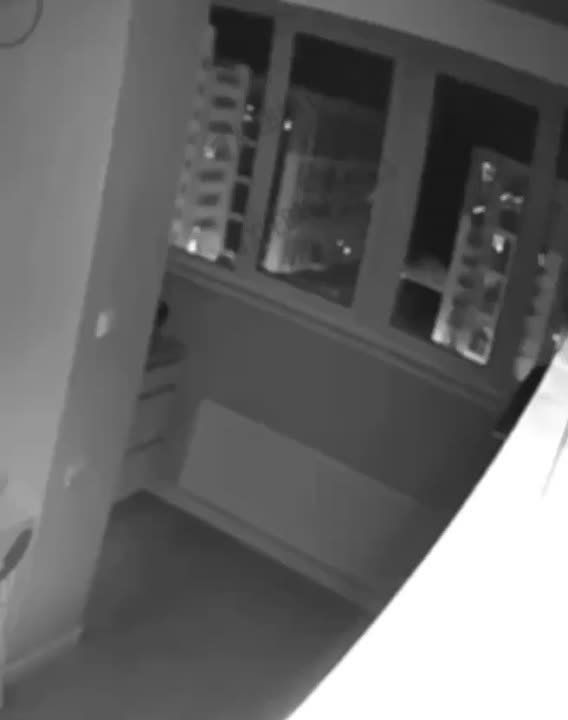 ���� ��������: ����� �� ������ ������� ������ �������� ���� �� ������ �� ���������������� ������ ���������� � ������