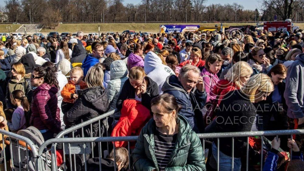 ���������, � ������. �������� �������, ���� �������, ��������� ����������� � ���������, ������� �� 30%, � ����� ����������� ������� ������ ����� ����������� ����� ��� �� �������� ���������. ������������ ������� � �������...