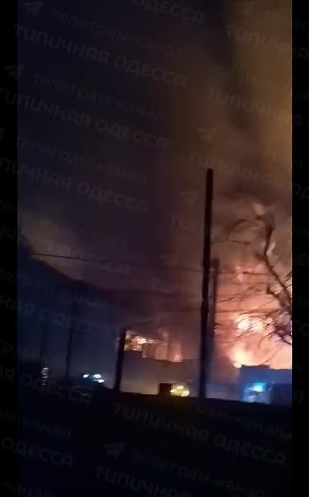 �������� �����: ���������� � ������ � ������� ����� �� ����