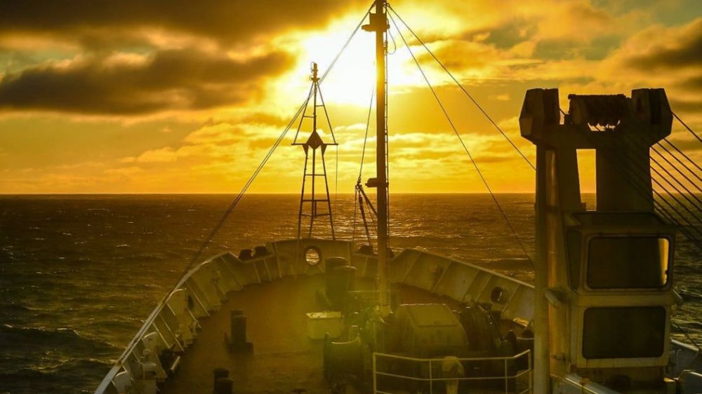 "Обсуждать не намерены": Офис Зеленского резко ответил на вопрос об одесском порте