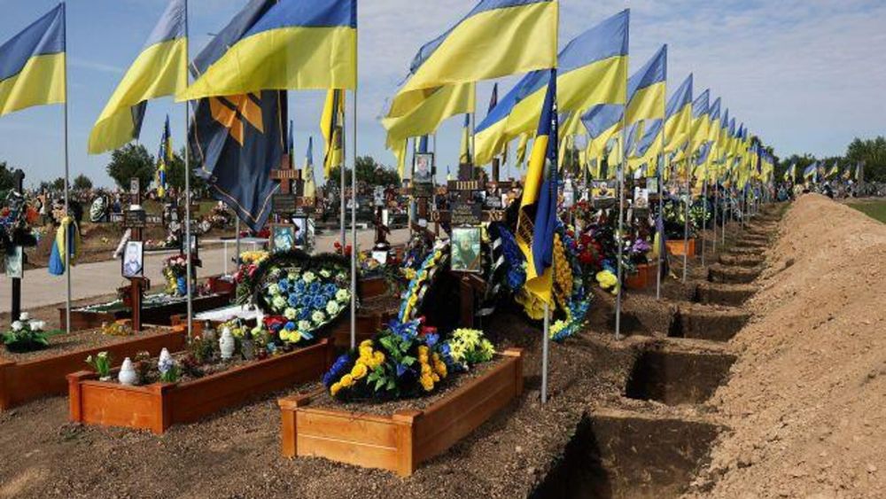 &quot;   &quot;:   ,   &quot;  &quot;  