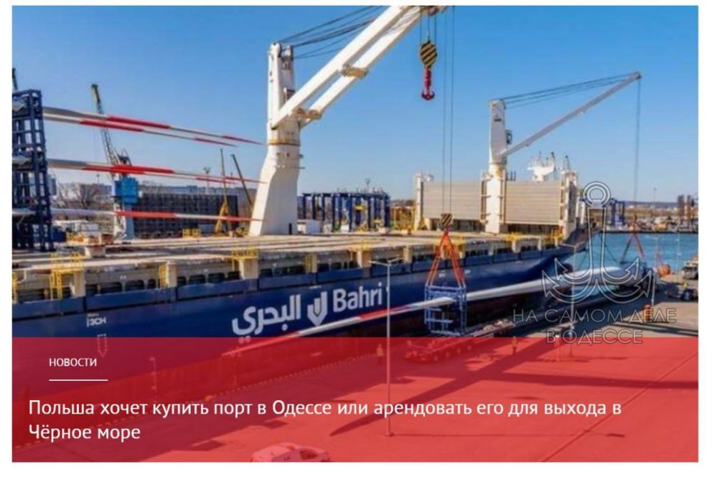 � �������, ������ ����! (�)