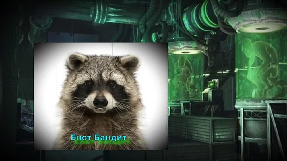 ������ �����������: �� ���� ������, ����,. �� ������ ������ �����