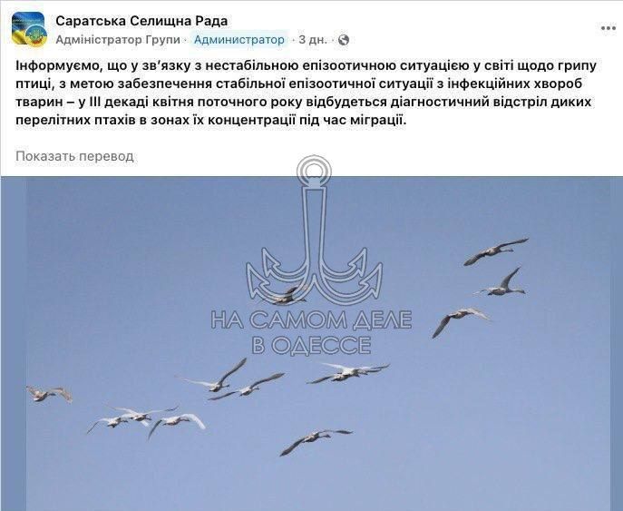 В Одесской области анонсировали спорную «акцию» против пернатых!