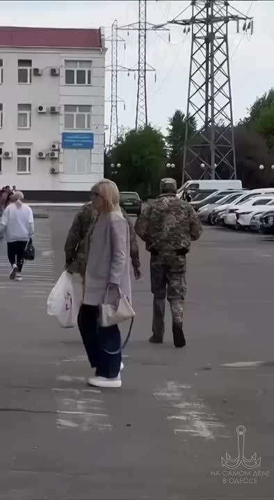 Что за тигр этот леопард?. ПОДПИСАТЬСЯ