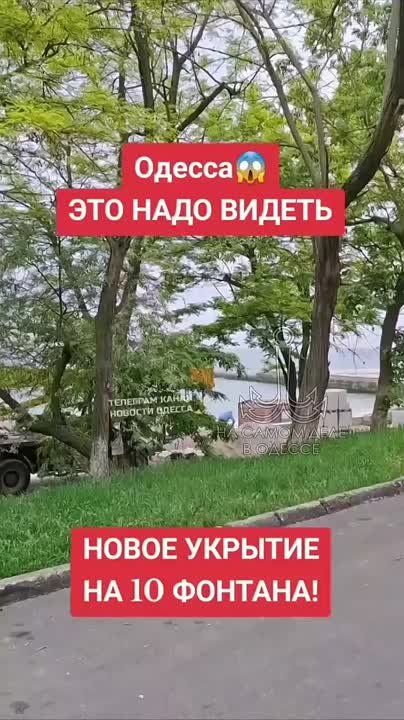    10     ?