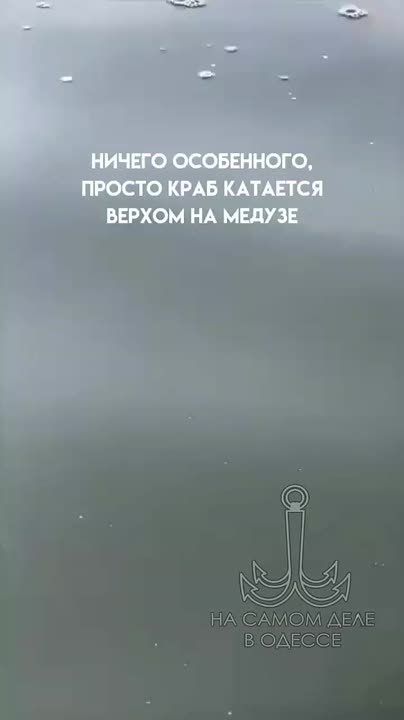    ׸   6  2025   18,3 C