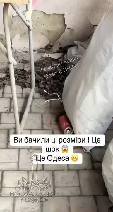             !