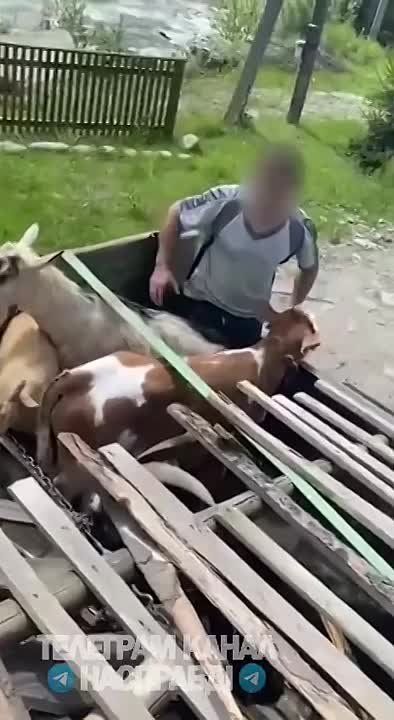          ,    