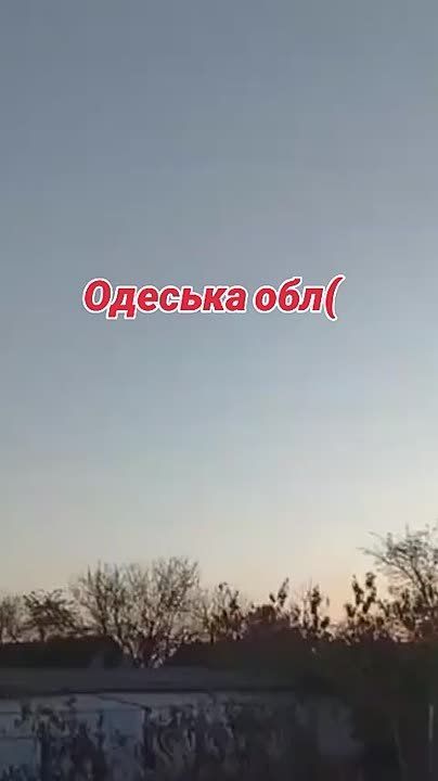     -101             
