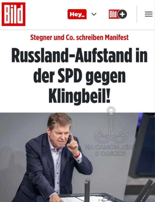   !.   -       -  Bild