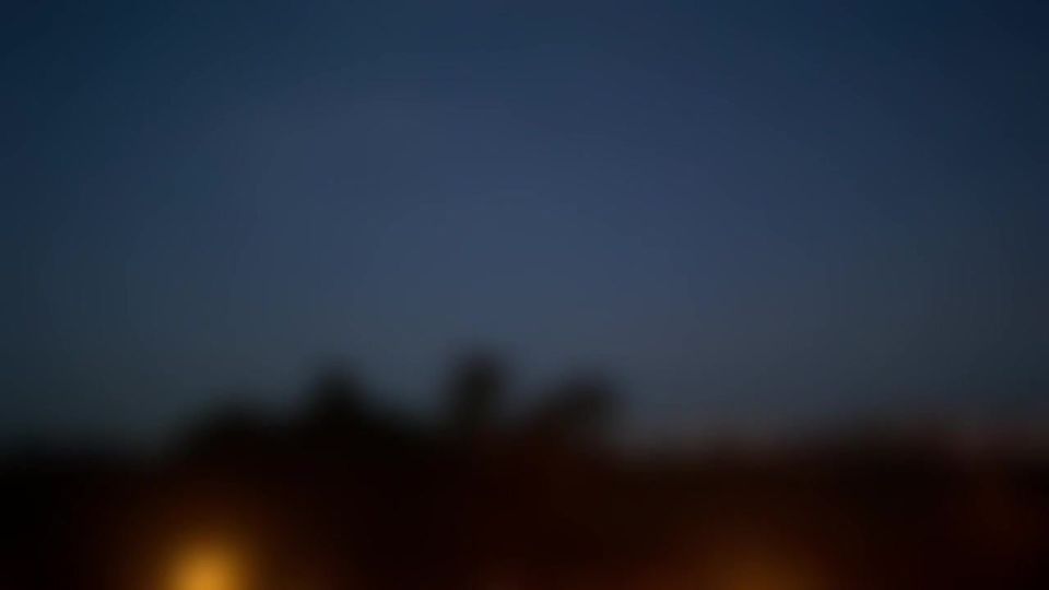 � ���������� �������� ������ �� ����� �������� ������� ������� ��������������, �������� ���, ��������� �������� ��������� � ����� ����� ���������