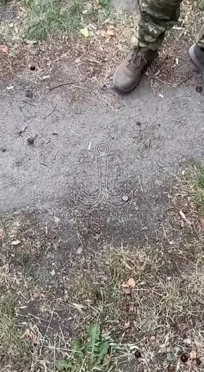  . ,  