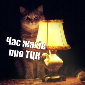 19.06.25 .  ,                -  