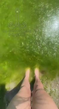        ,           