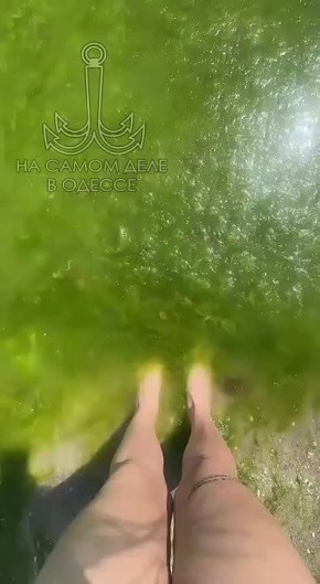        ,           