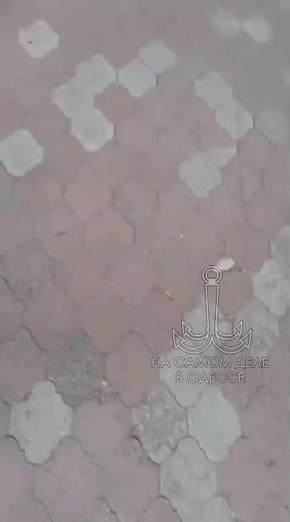   ,     