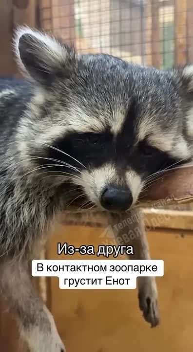 � �������� �������� ���� ���� � ��������� ��-�� ������� �������� � ������