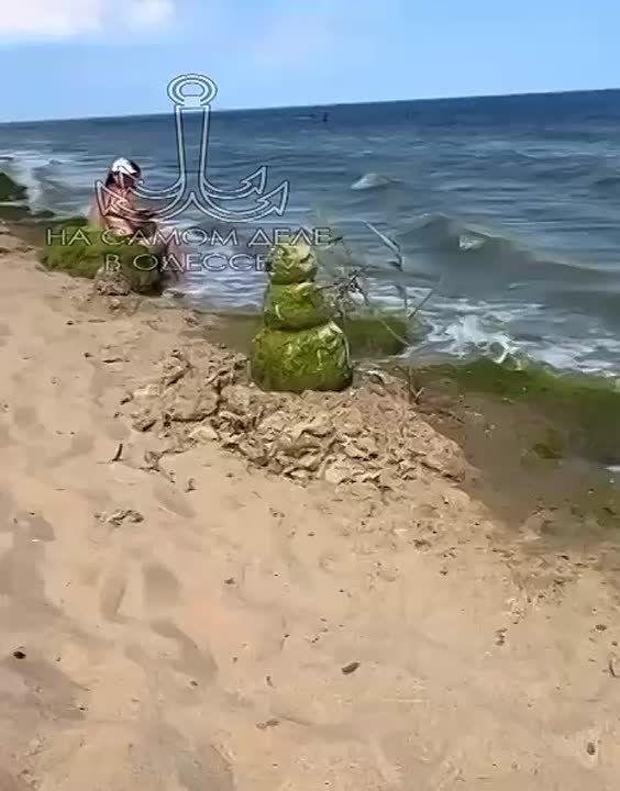  .       ?