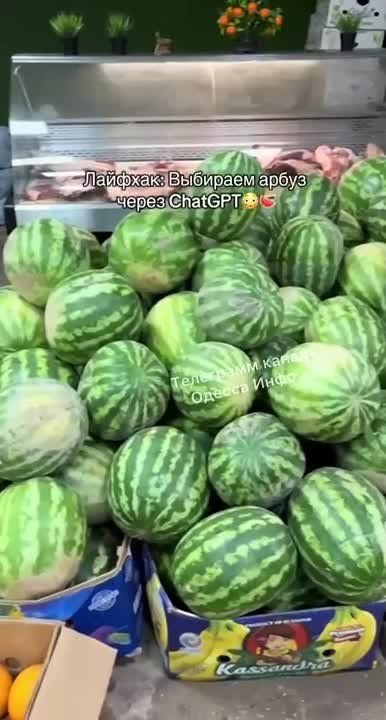   GPT-    