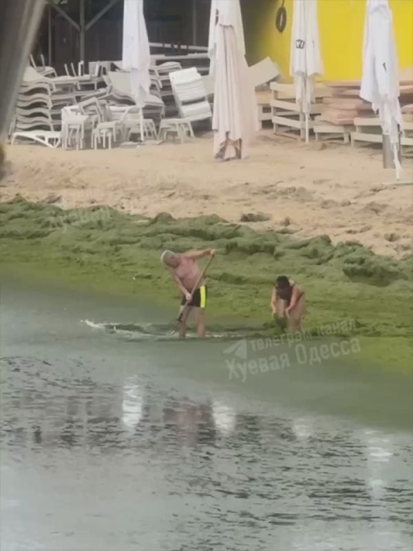   :      