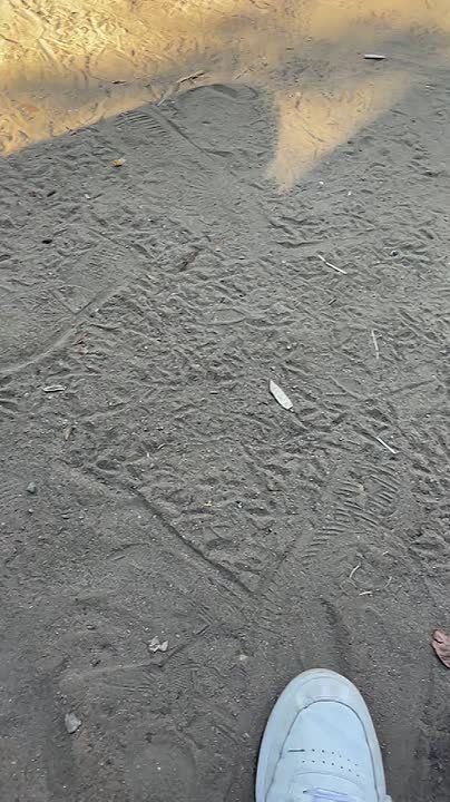    »     ,  
