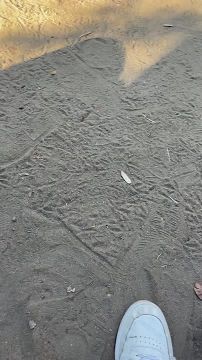    »     ,  