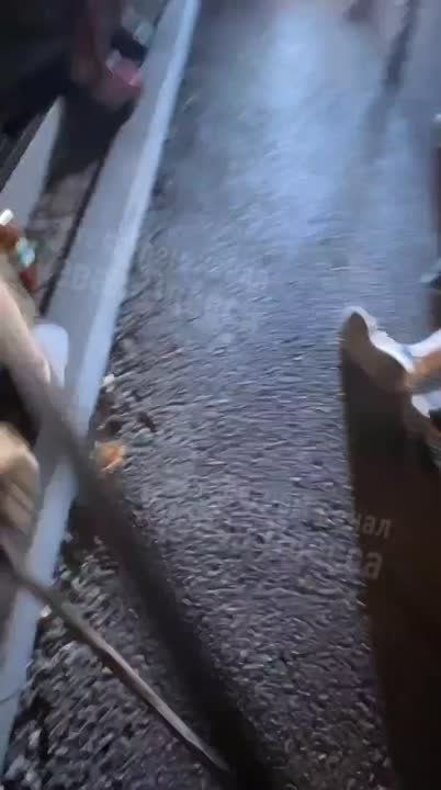               ,   ,      
