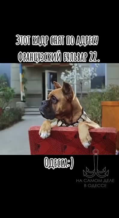  , - 