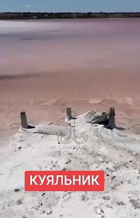 .       XIX 