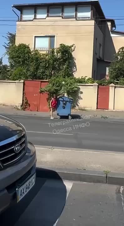      -  ,   