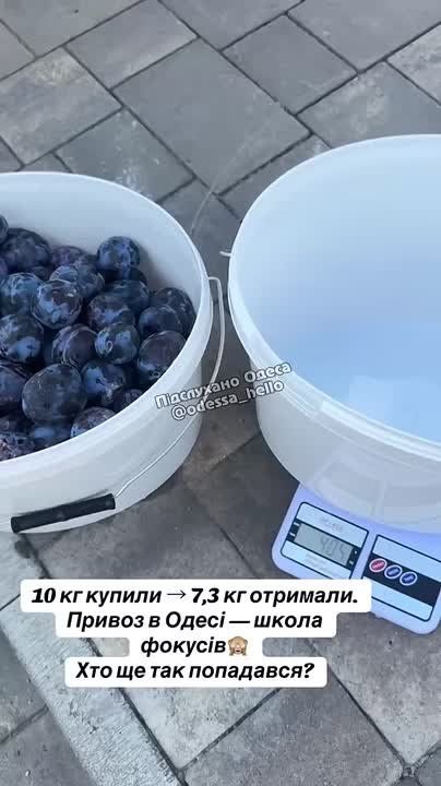  -:   ,  -  