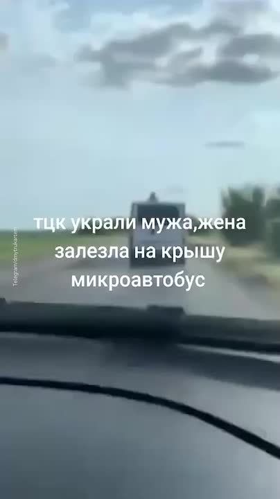    .        ,          ,   ,     ,     ...