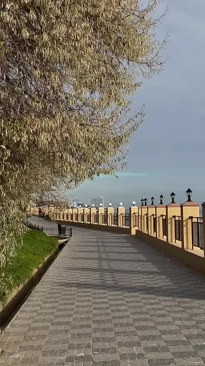  , - 